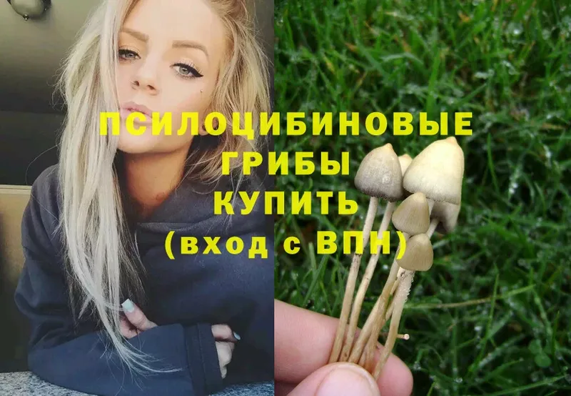 Галлюциногенные грибы MAGIC MUSHROOMS  закладки  Уяр 